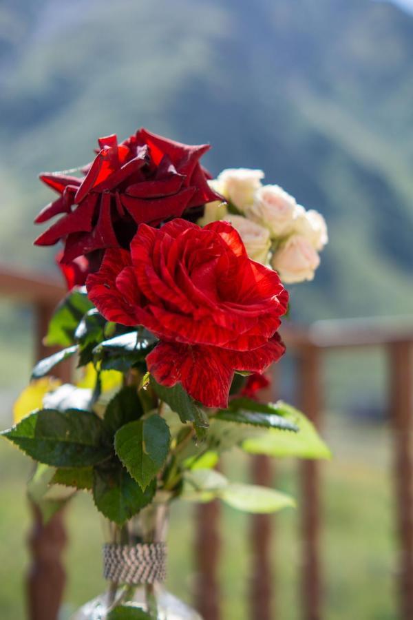 Hotel Diamond Kazbegi Kültér fotó